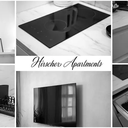 Appartement Hirscher Braşov