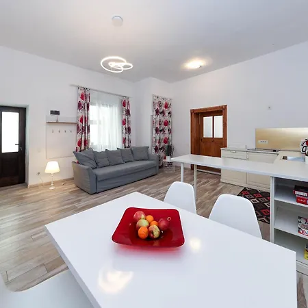 Hirscher 브라쇼브