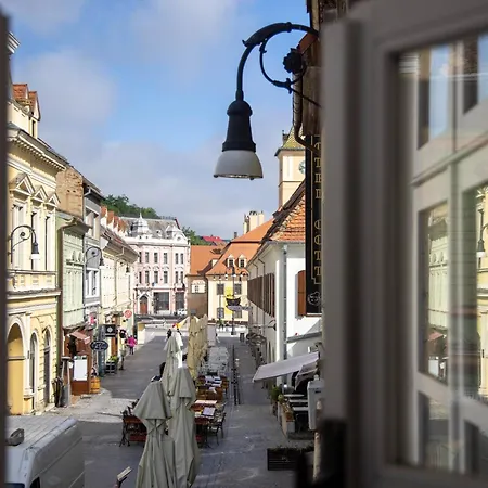 Hirscher Appartement Braşov