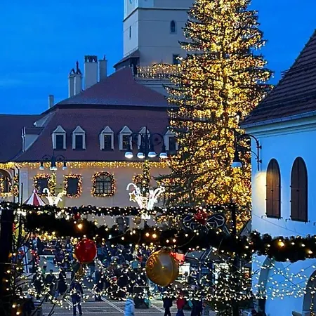 Appartement Hirscher Braşov