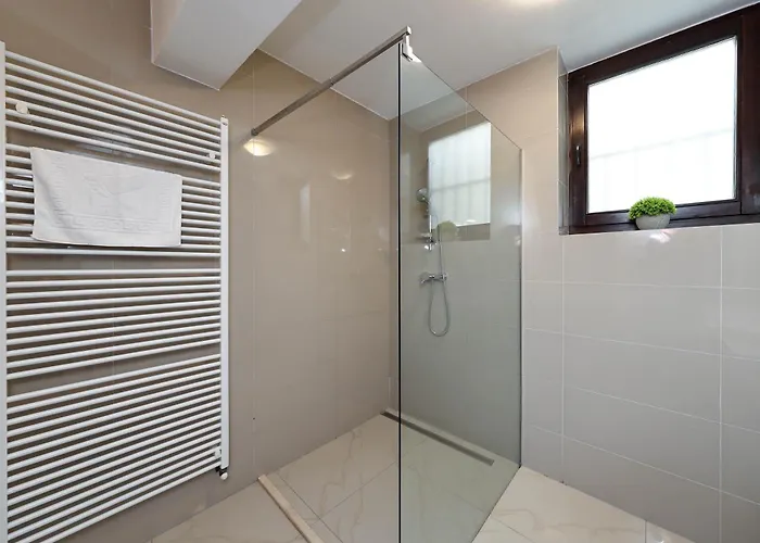 Apartment Hirscher Brasov