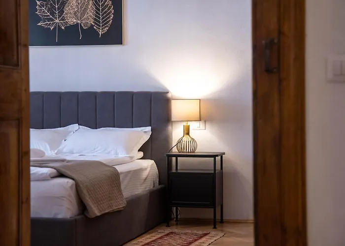 Hirscher Брашов