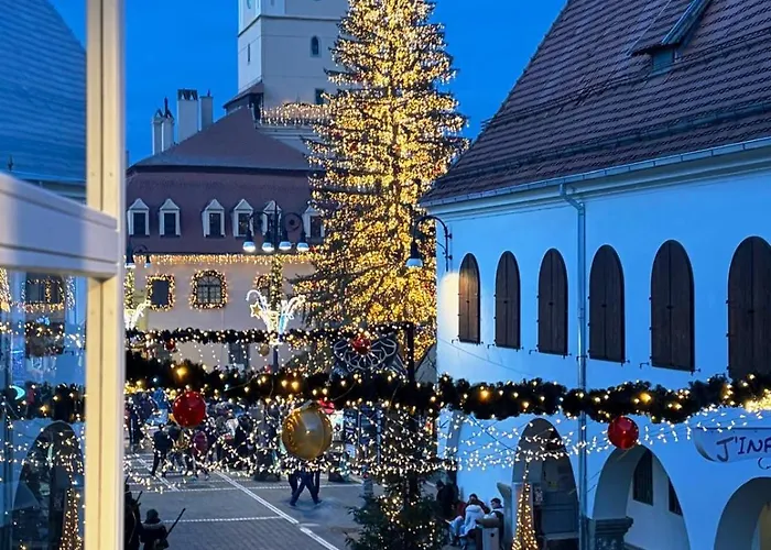 Apartment Hirscher *